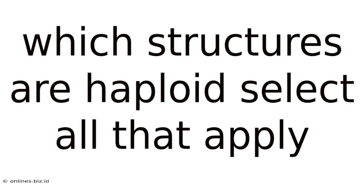 Which Structures Are Haploid Select All That Apply