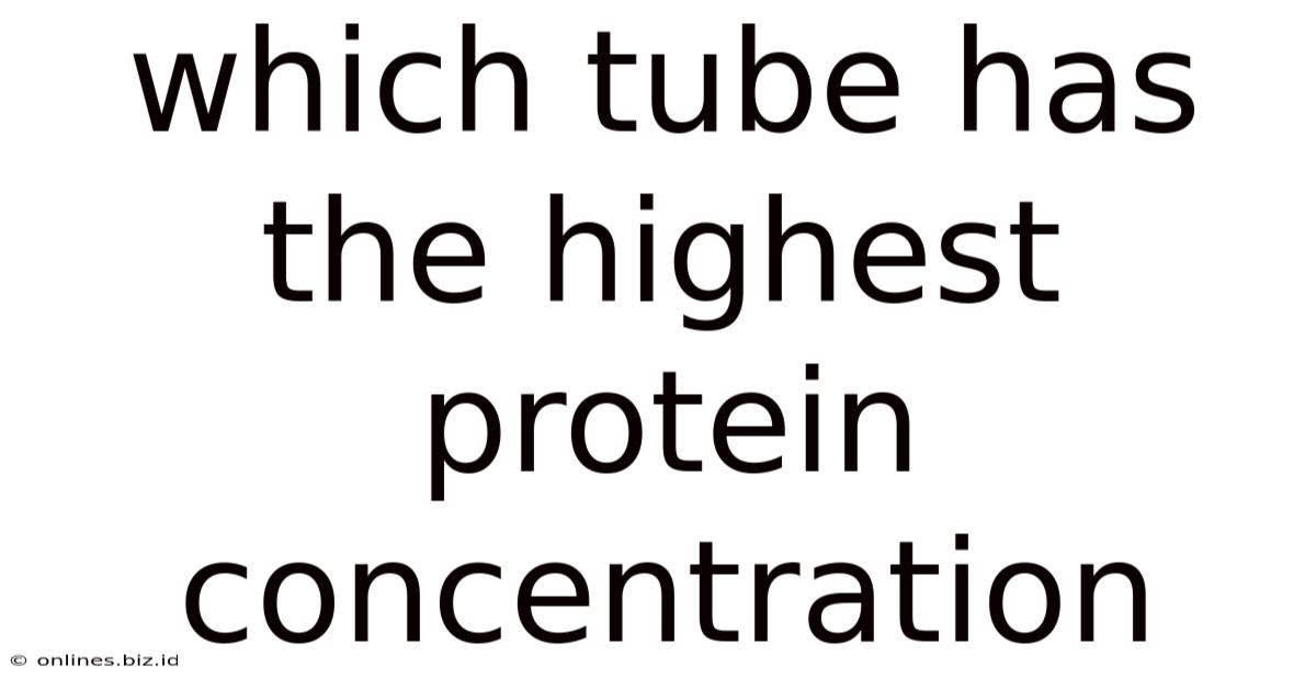Which Tube Has The Highest Protein Concentration
