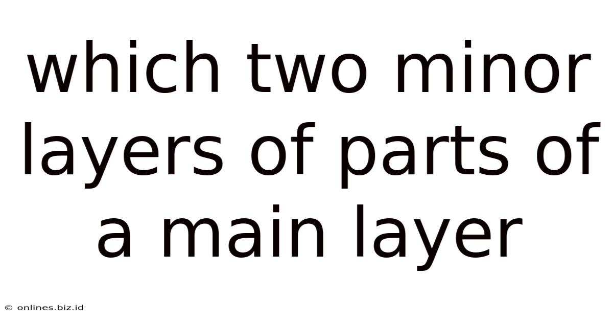 Which Two Minor Layers Of Parts Of A Main Layer