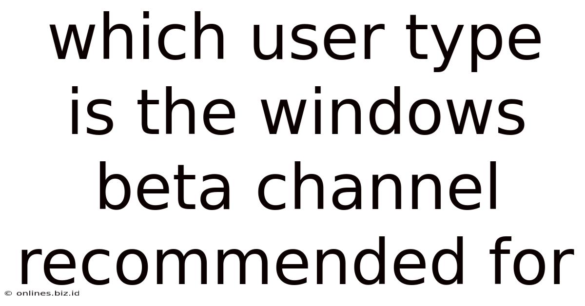 Which User Type Is The Windows Beta Channel Recommended For