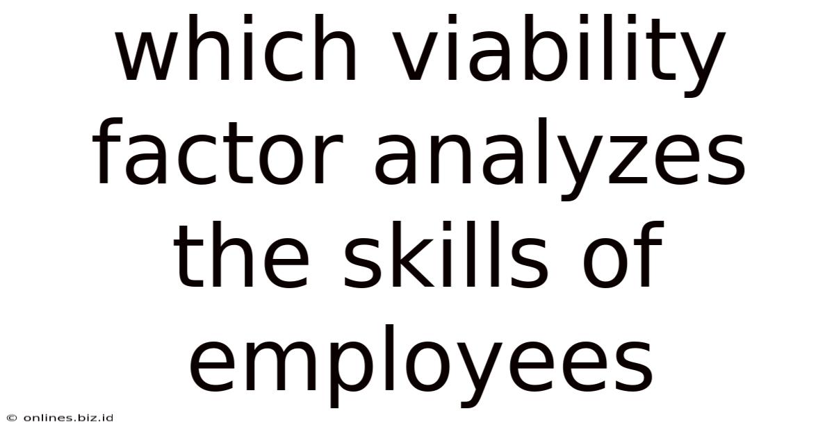 Which Viability Factor Analyzes The Skills Of Employees