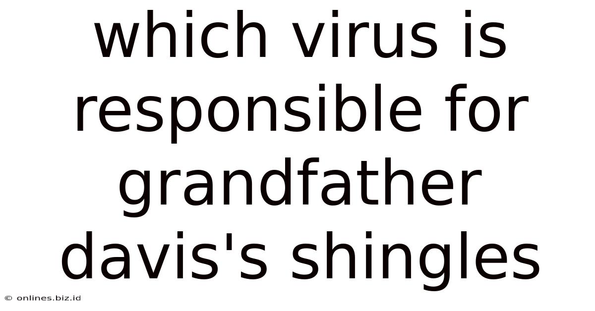 Which Virus Is Responsible For Grandfather Davis's Shingles