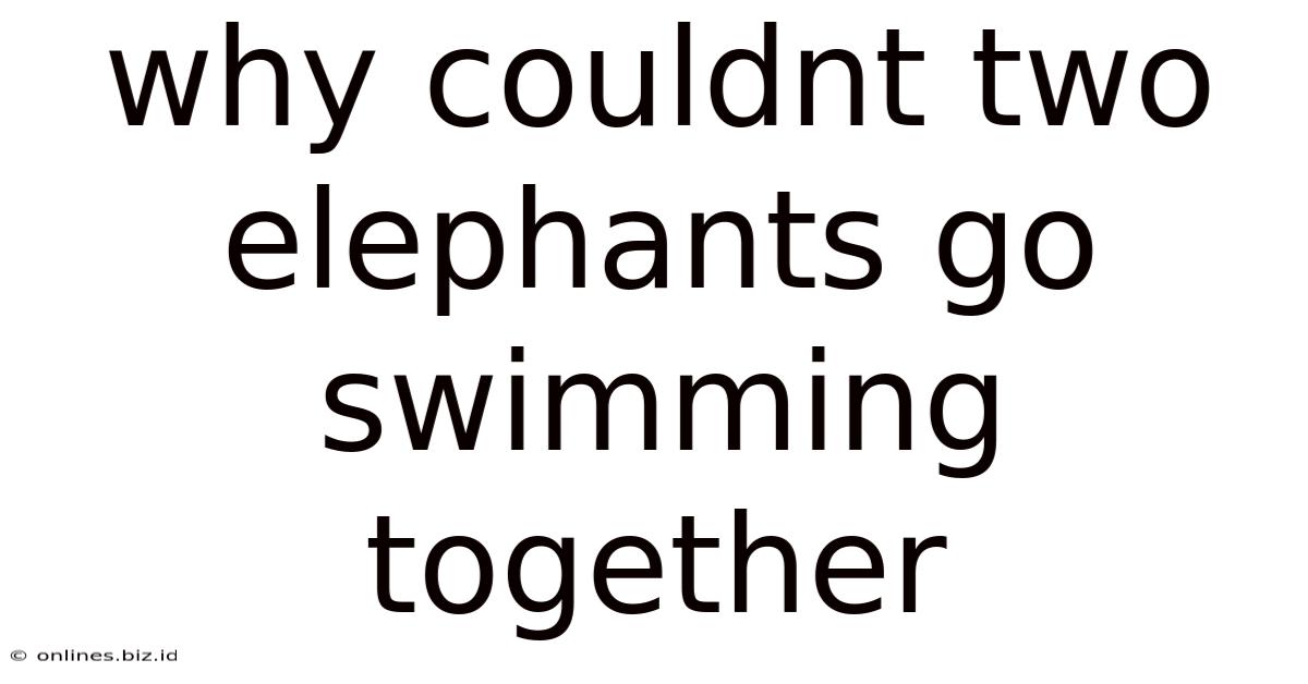Why Couldnt Two Elephants Go Swimming Together