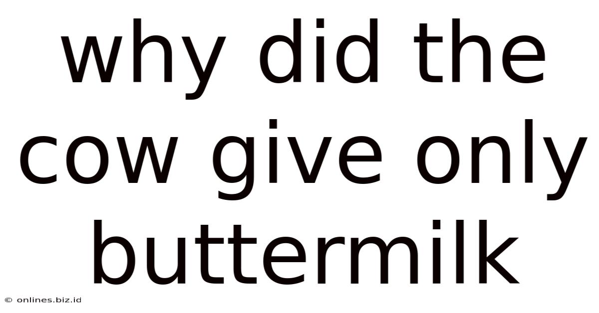 Why Did The Cow Give Only Buttermilk