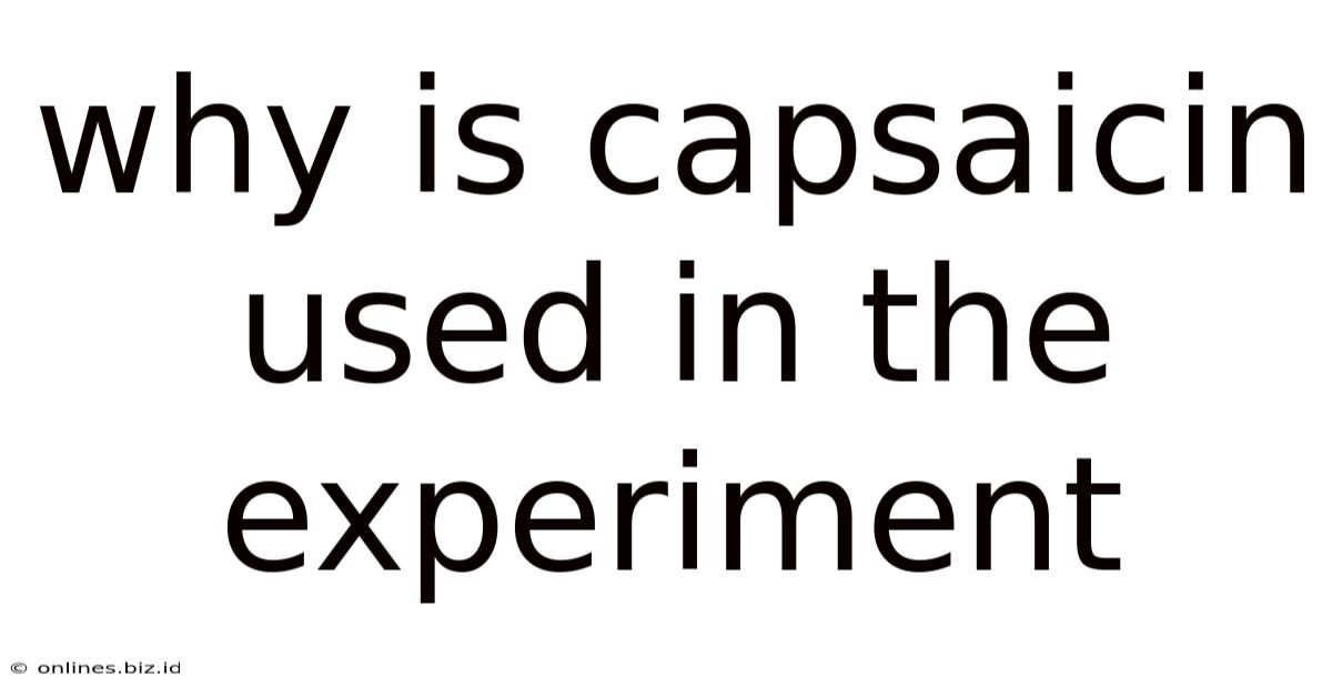 Why Is Capsaicin Used In The Experiment
