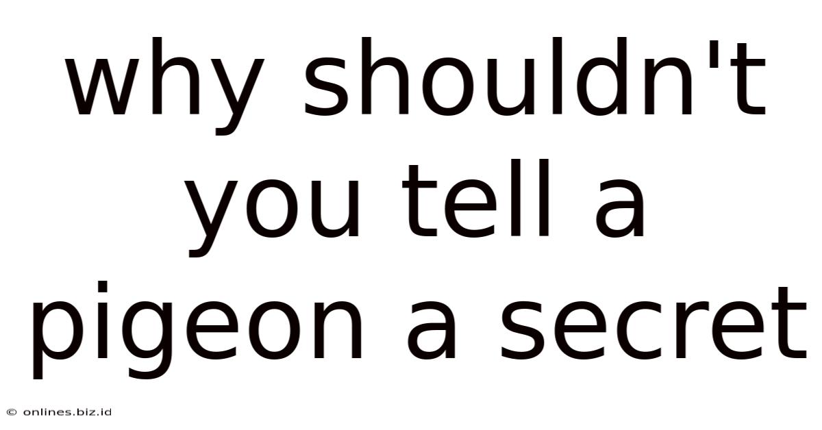 Why Shouldn't You Tell A Pigeon A Secret