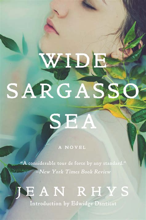 Wide Sargasso Sea Summary Part 1