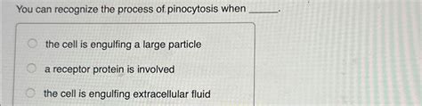 You Can Recognize The Process Of Pinocytosis When _____.