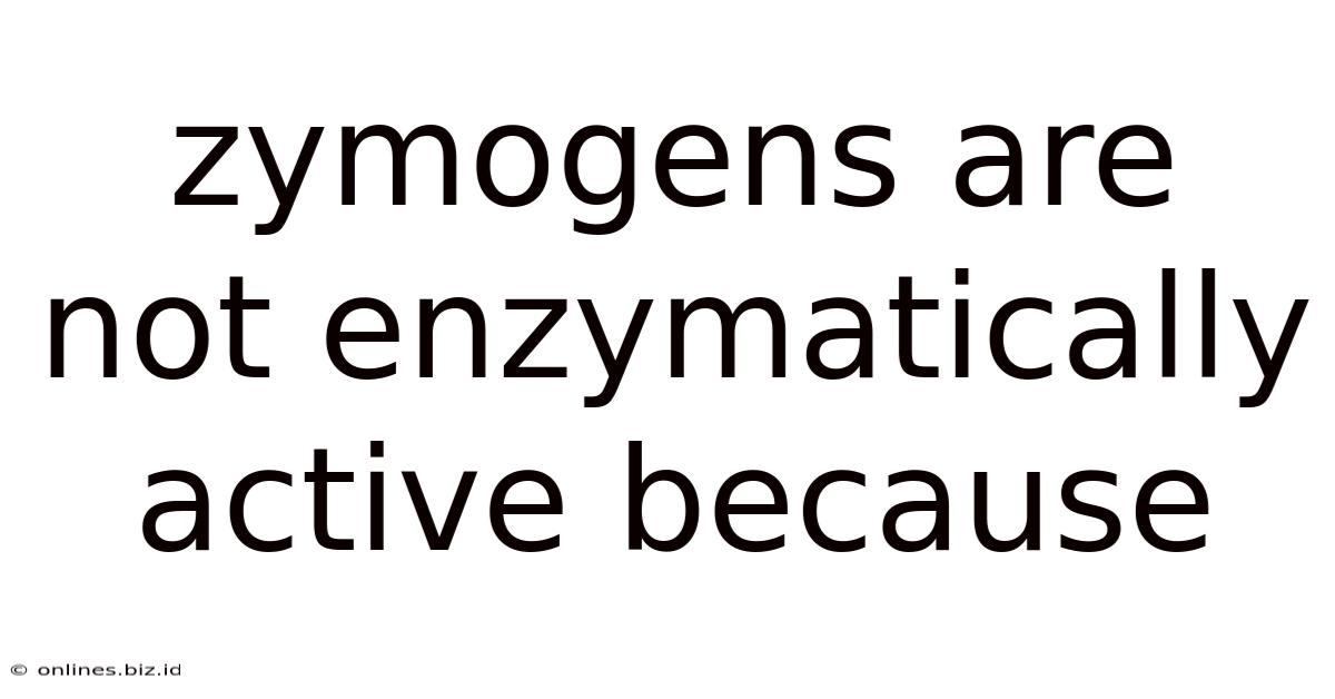 Zymogens Are Not Enzymatically Active Because